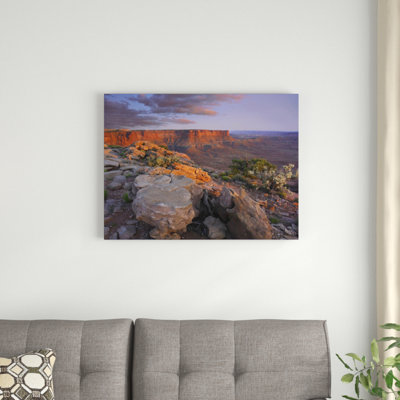 " View From The Green River Overlook Canyonlands National Park Utah " by Tim Fitzharris