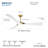 Bridge 60" Led Smart Ceiling Fan-116794763-116794767