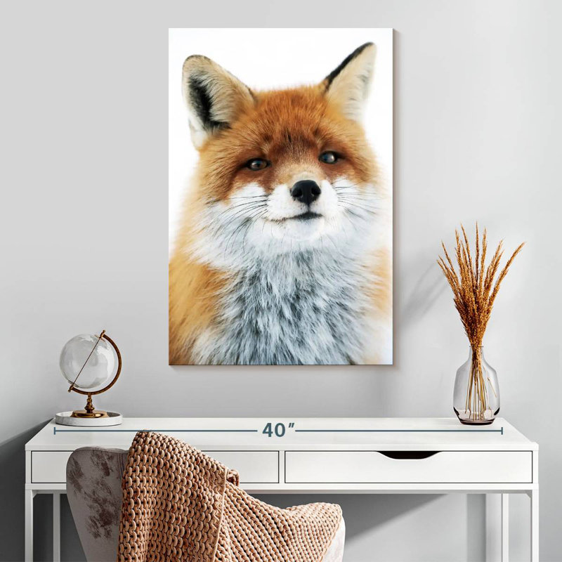 Regard de renard Brampt, H 30 po x l 20 po