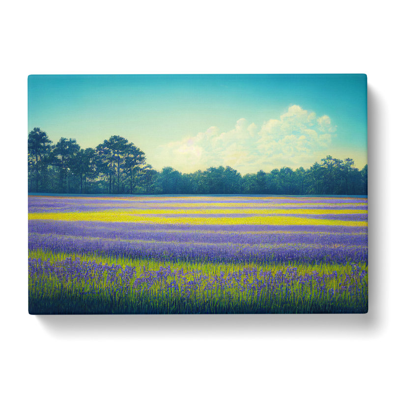 Wonderful Bluebell Field - Wrapped Canvas, 50cm H x 76cm W x 3cm D