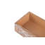 Nautilus Resin Decorative Box
