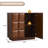 2-Door Accent Cabinet