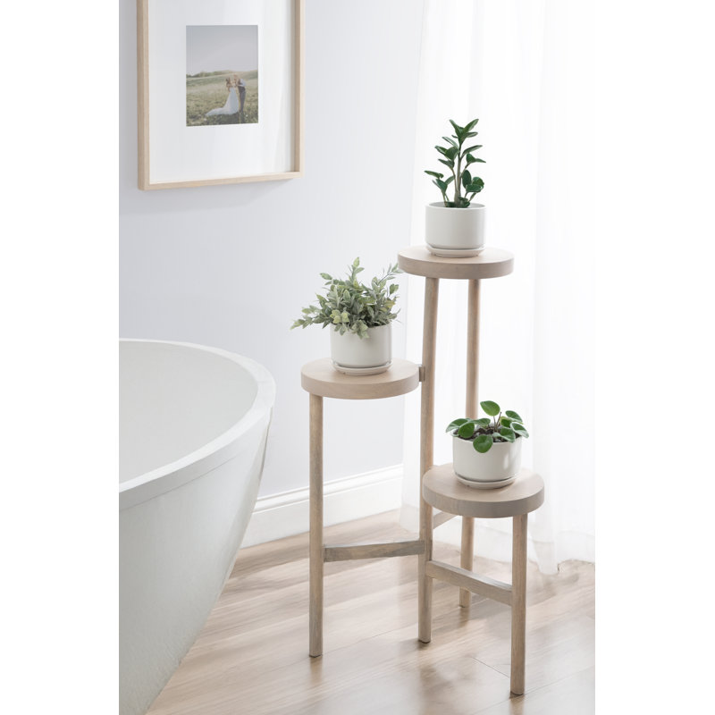 Support pour plante en bois de manguier à niveaux Fitley, Blanc