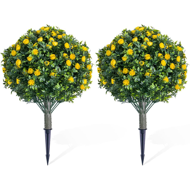 Plant, 2