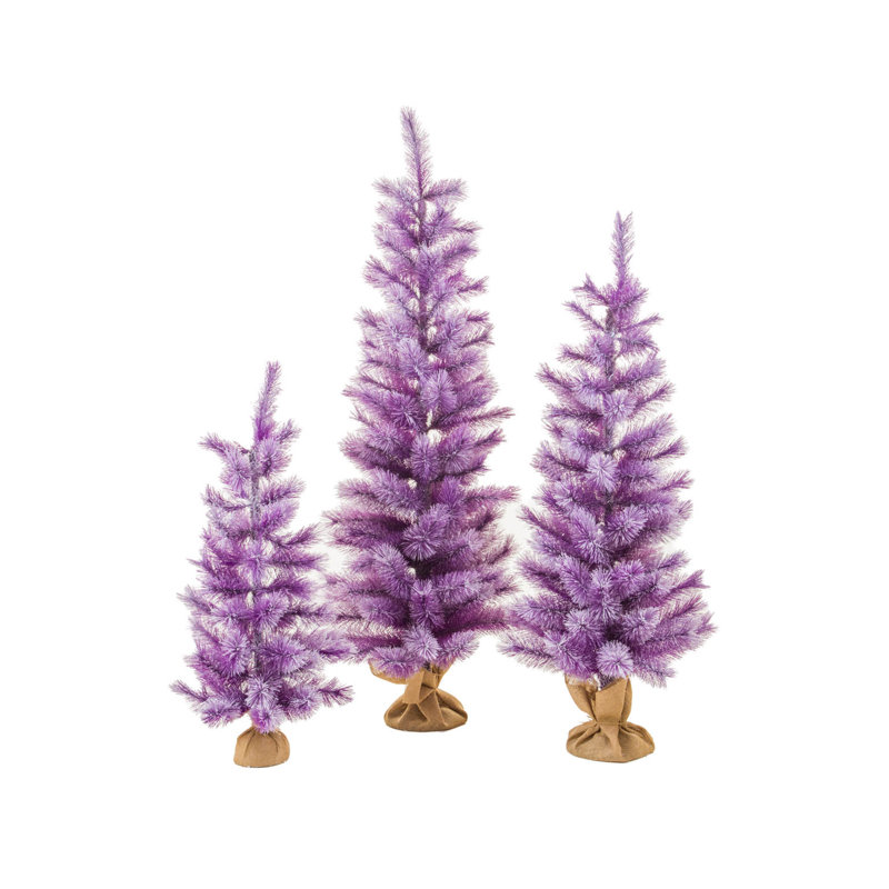 Faux pin en pot, Mauve