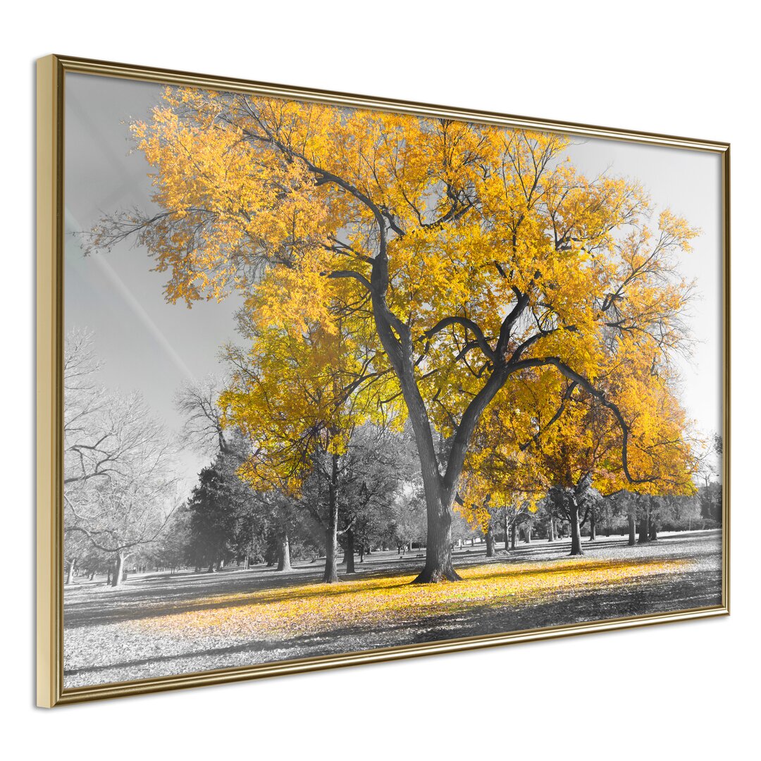 Gerahmtes Poster Golden Tree