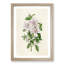 Illustration of Pink Azaleas - Picture Frame Painting Print-55579764-55579769