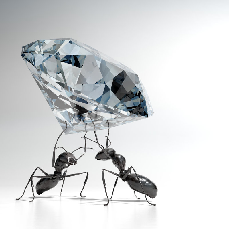 Ants Carrying A Diamond by Mevans - Wrapped Canvas Print, 91cm H x 91cm W x 3.8cm D