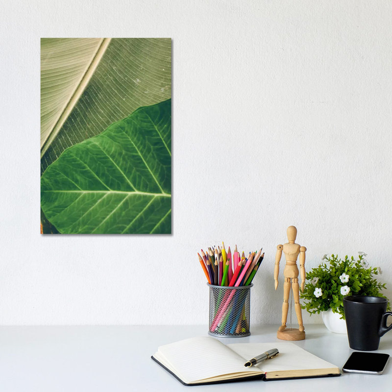 Leaves I by Olivia Joy StClaire - Wrapped Canvas Print, 20.32 cm H x 30.48 cm W