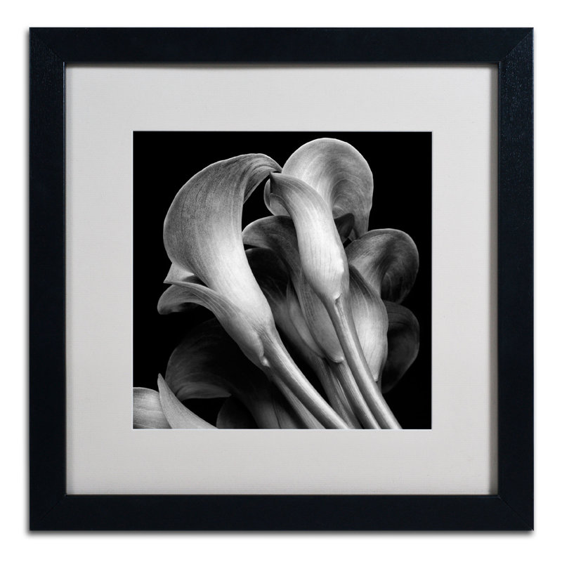 « lillies », reproduction de photo encadrée, H 16 po x l 16 po x P 0,5 po