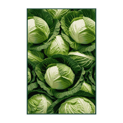  Tapis vert lavable chou vert
