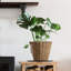 Inverleigh 7 Litre Waste Basket