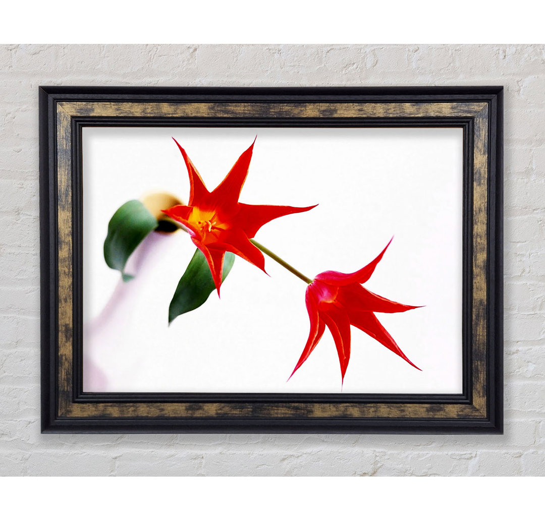 Gerahmtes Wandbild Twin Fire Tulip Centre