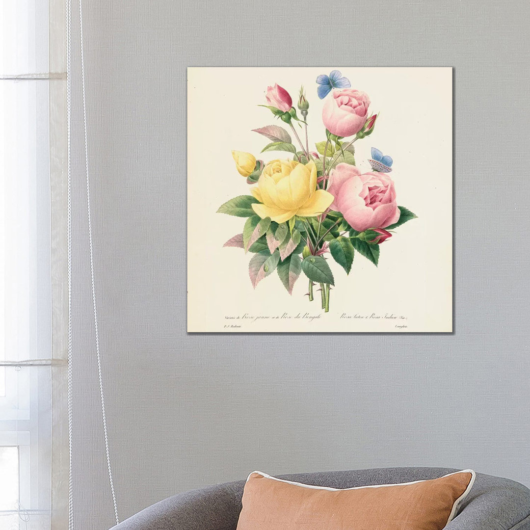 Variety Of Yellow Roses And Bengal Roses, 1827-33 by Pierre-Joseph Redouté - Wrapped Canvas Print