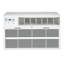 Climatiseur mural Perfect Aire avec télécommande