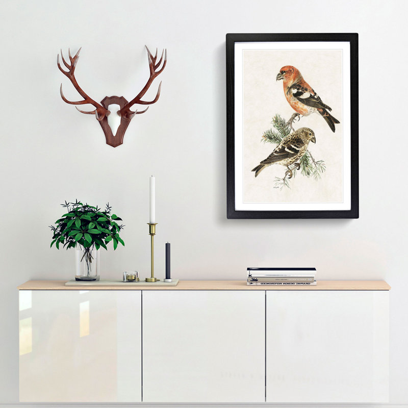 Crossbill Birds by Von Wright - Picture Frame Painting Print, Black Framed, 36cm H x 27cm W x 2cm D