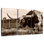 Sepia Longhorn