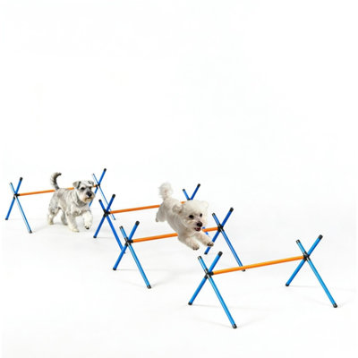 Pet Agility Equipment - Complete Dog Agility Course Garden Set, Portable Training Obstacle Kit for Backyard and Outdoor Dog Exercise