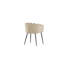 Bryton Velvet Side Chair
