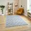 Jaxen Area Rug-199304380