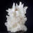Aragonite "Cave" Calcite.
