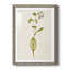 Mauve Garden Flowers IV - peinture encadrée-1603330267-1603330266