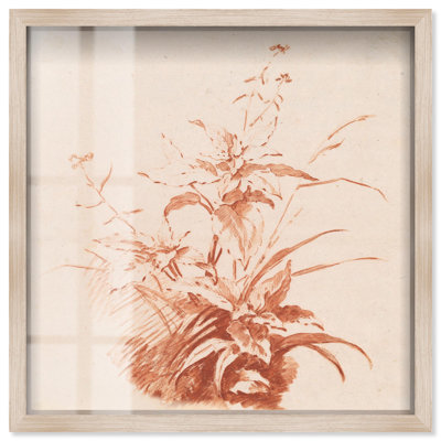 «Red Chalk Plant II», reproduction botanique par Art Remedy