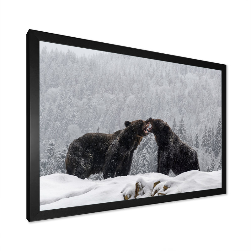 «Two Angry Brown Bear Fight in Winter Forest», reproduction sur toile, H 24 po x l 32 po, Cadre noir