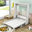 Ayomiposi Queen Low Profile Storage Murphy Bed-1604403641