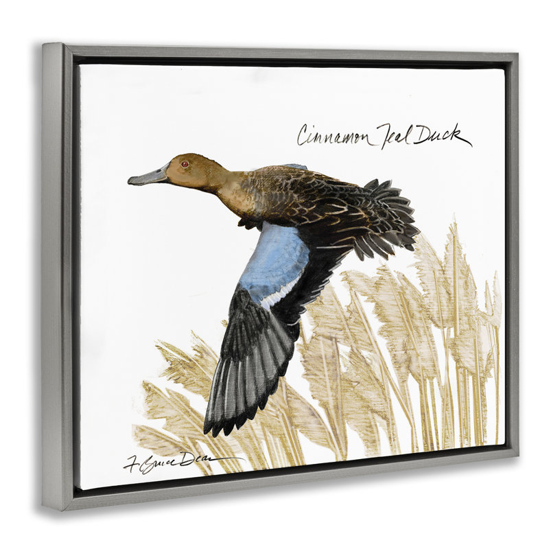 «Cannelle bleu sarcelle canard volant» par Jadei, Cadre flottant gris lustré, H 25 po x l 31 po