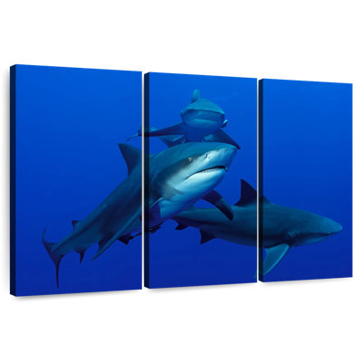 Brampt Triple Sharks