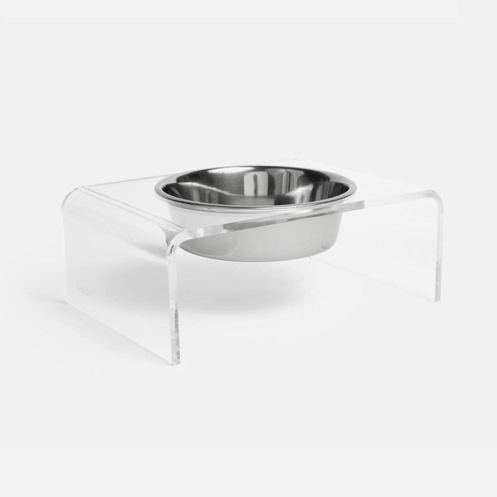 Single Bowl Elevated Feeder with Bowl, Silver, Clear