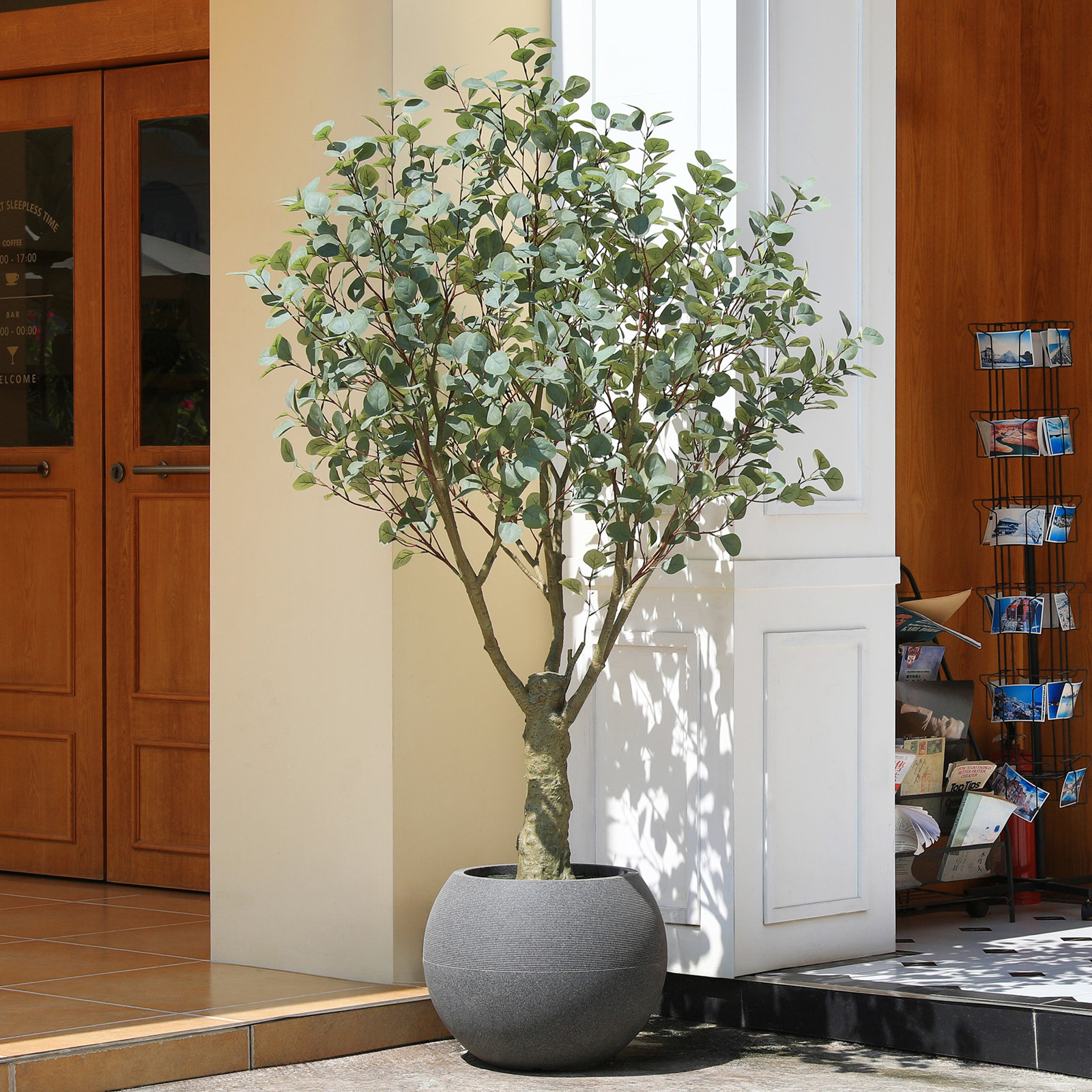 Aldery 84" Eucalyptus Tree in Planter