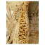 Jute Hand Braided Beige Indoor Rug-101897412