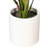 18.9'' Faux Calathea Plant in Ceramic Pot