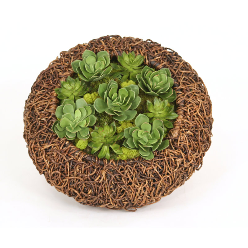 22'' Faux Succulent in Wicker/Rattan Basket