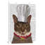 « chat chef i », impression sur toile-20905327-73053534-73053538