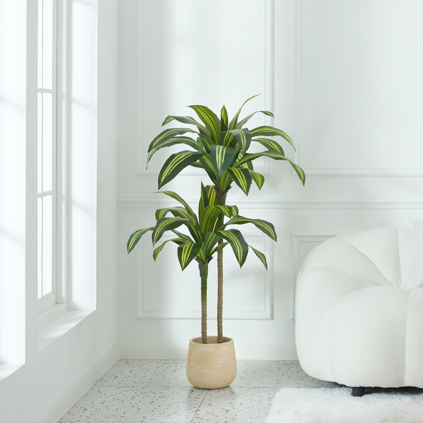 Adcock 72" Dracaena Tree in Pot, Yellow, 48" H x 20" W x 20" D