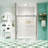 Bypass Shower Door