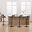 Licon Height Adjustable Swivel Bar Stool-1739403676