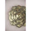 Plaque murale succulente D10x1,4 "-1491303203