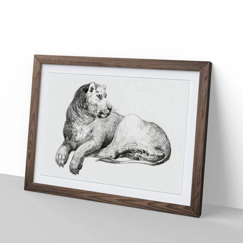 Young Lion by Jean Bernard - Picture Frame Drawing Print, 48cm H x 65cm W x 2cm D, Walnut Framed