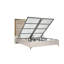 Lit Sharada-790867112