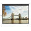 Wayfair Basics™ Electric Projector Screen Projector Screen-376564389