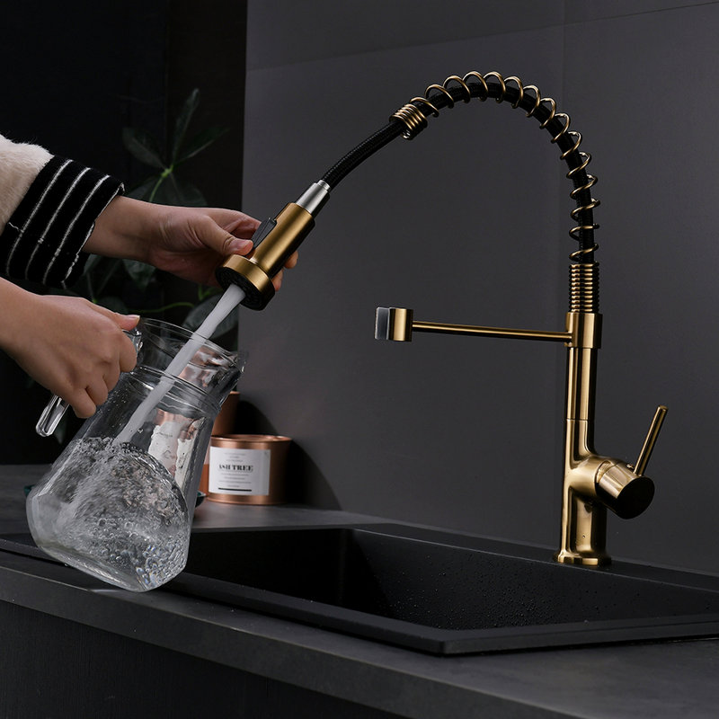 Robinet de cuisine avec douchette rétractable, robinet d'évier de cuisine à poignée simple, Noir / or