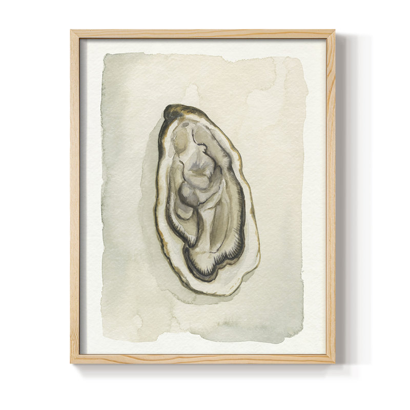 Soft Half Shell II Framed Print - Solid Wood, 11" H x 9" W