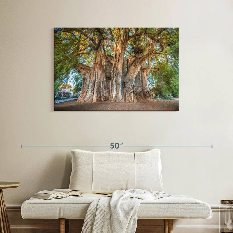 Arbre Harnek Arbol El Tule, H 26 po x l 39 po