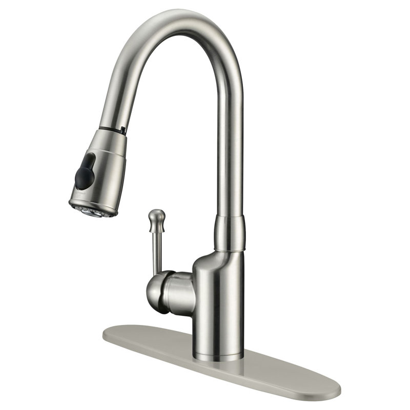 LessCare Pull Out Kitchen Faucet