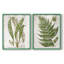 «Greenhouse Fern I», reproduction encadrée de qualité supérieure - prête à être accrochée - aucun clou requis - aucun clou requis-613840192-613840193
