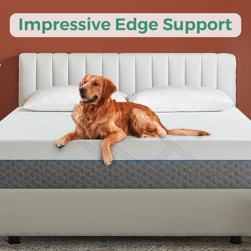 Caldicott 12'' Medium Memory Foam Mattress in A Box, Queen, 12"